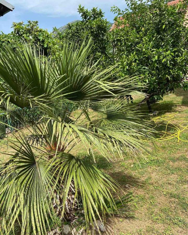 Apartmani Zelenika Herceg Novi Luaran gambar