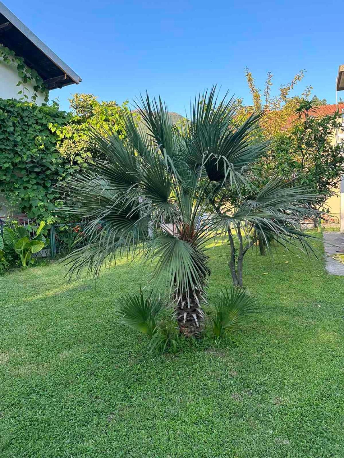 Apartmani Zelenika Herceg Novi Luaran gambar