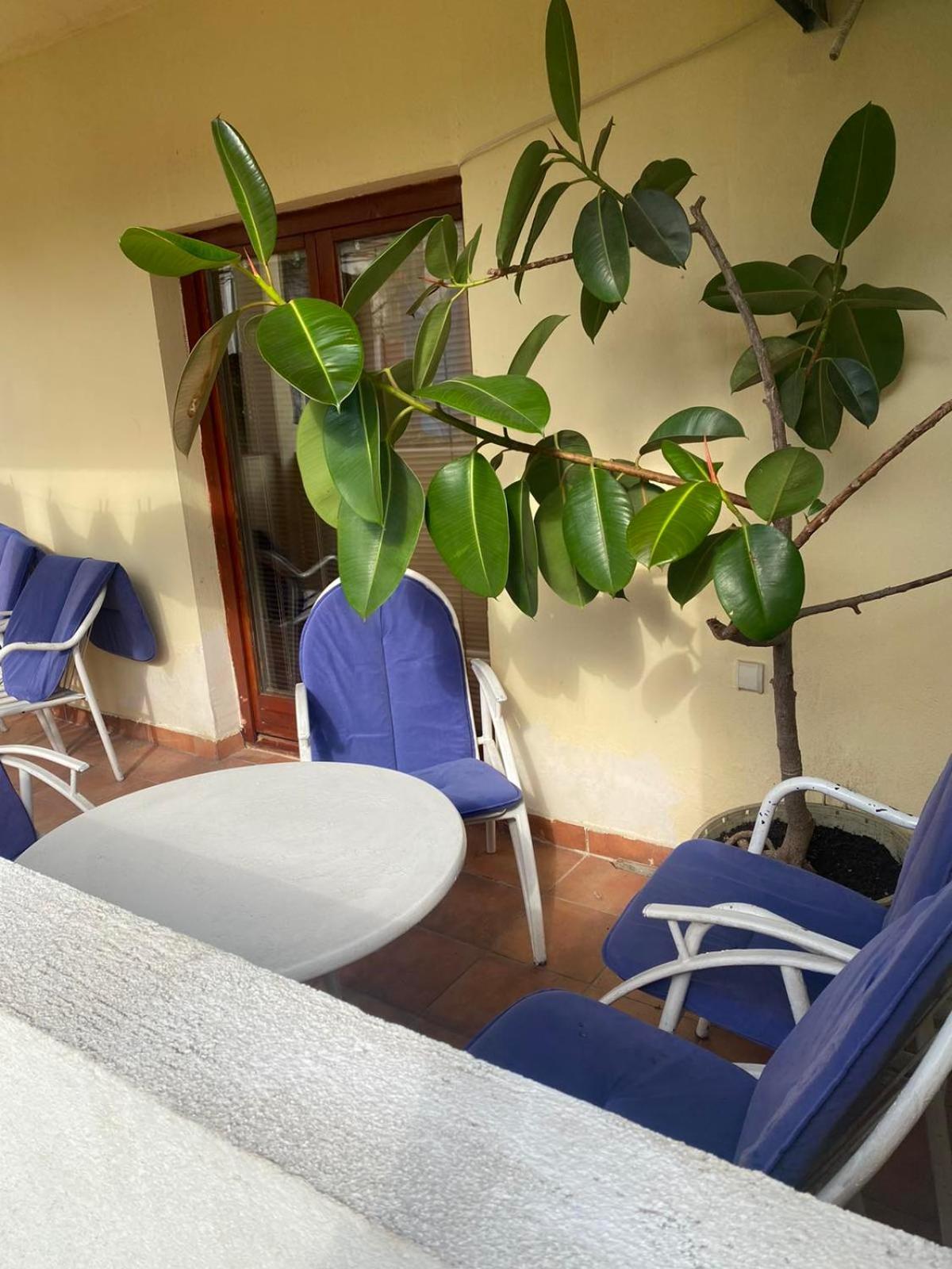 Apartmani Zelenika Herceg Novi Bilik gambar