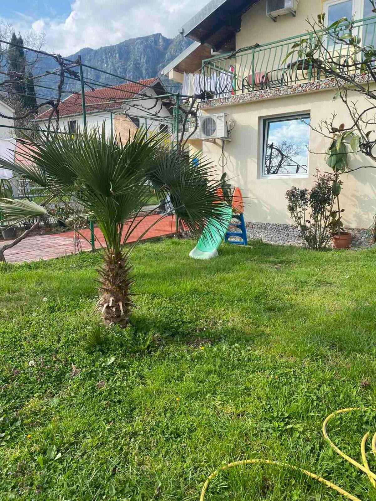 Apartmani Zelenika Herceg Novi Bilik gambar