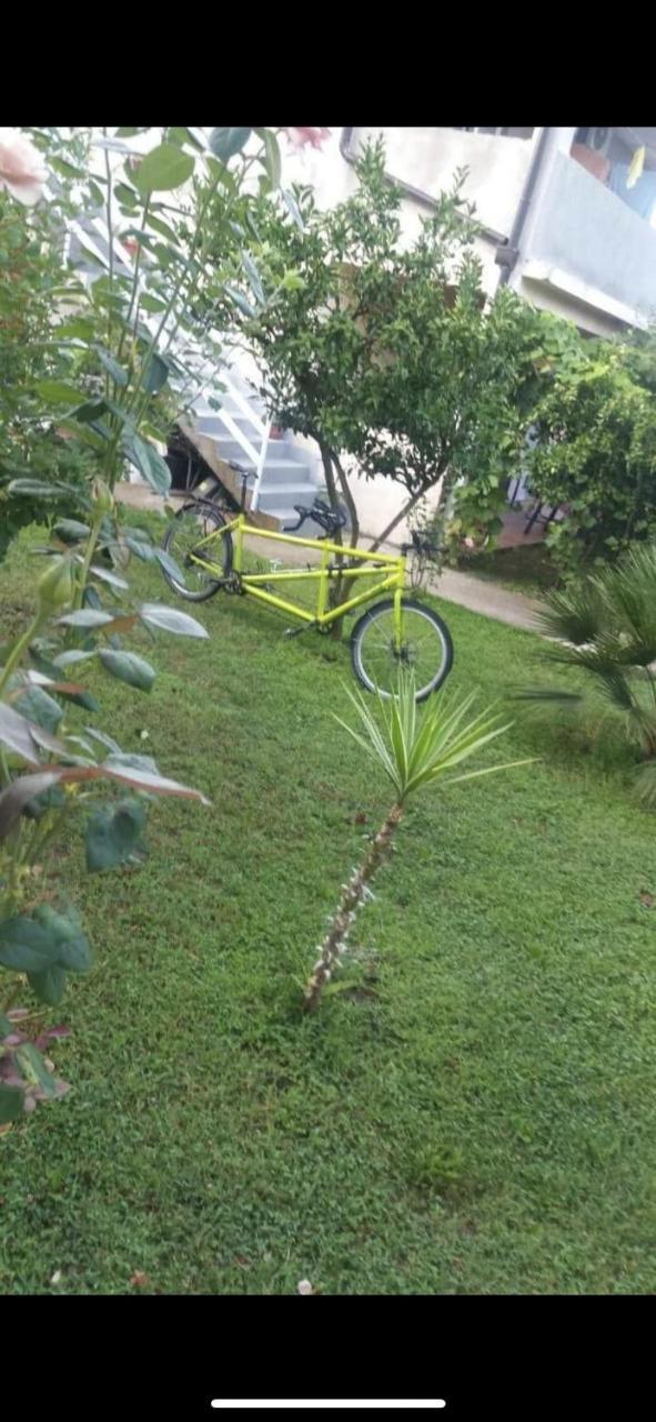 Apartmani Zelenika Herceg Novi Luaran gambar